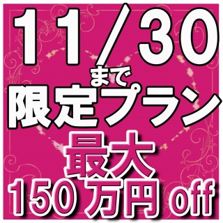 最大で150万円OFF!11/30まで!BIGフェア限定プラン